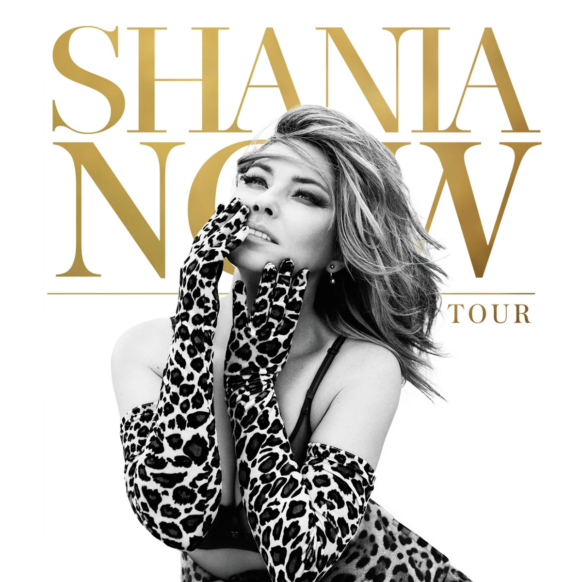 “Shania Twain Announces Final Tour Dates for Summer 2025”